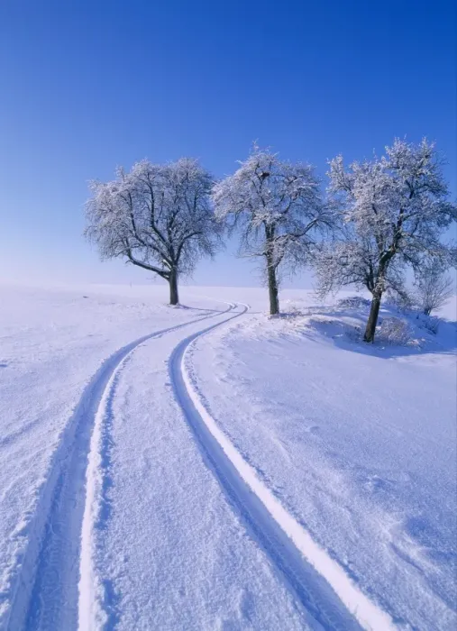 Framed Print : Winter Landscape Print Framed Print : Winter Landscape Print