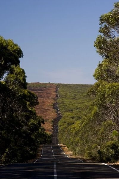 Main road through the forest, Flinders Chase National Park, Kangaroo Island