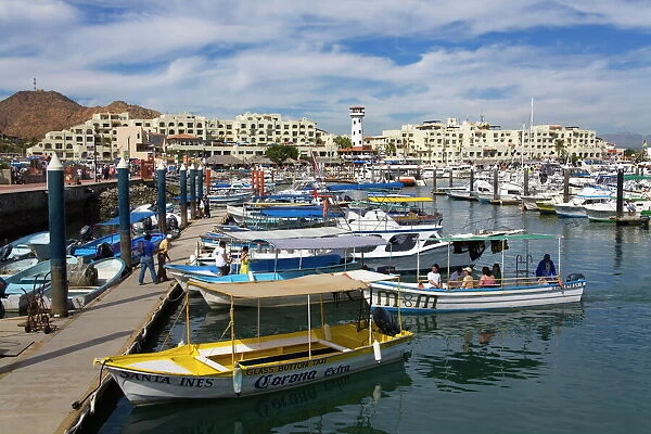 Marina, Cabo San Lucas, Baja California, Mexico, North America