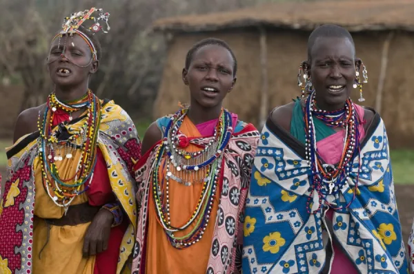 Traditional Masai Neckpiece Wall Hanging Kenyan Long Maasai Necklace