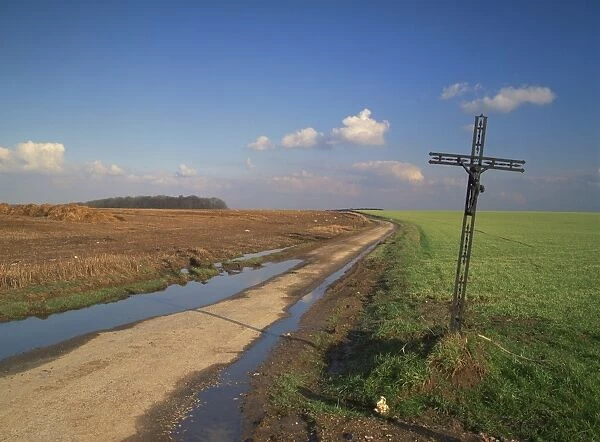 Metal crucifix beside a muddy rural road through agricultural land, near Azincourt
