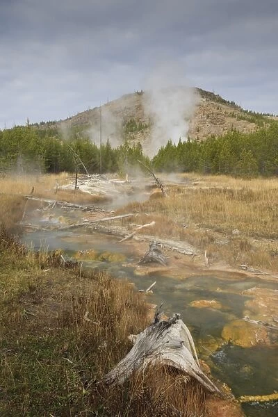 Midway Geyser Basin thermal activity from the Fairy Creek Trail, Yellowstone National Park, UNESCO World Heritage Site, Wyoming, United States of America, North America