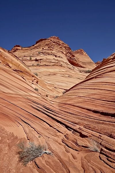 The Mini Wave formation, Coyote Buttes Wilderness, Vermillion Cliffs National Monument, Arizona, United States of America, North America
