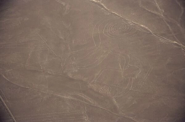 Monkey, Nazca (Nasca) Lines
