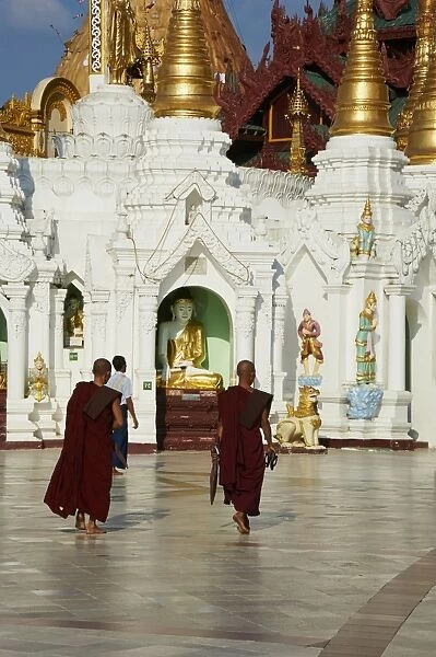 Monks, Shwedagon Paya, Yangon (Rangoon), Myanmar (Burma), Asia