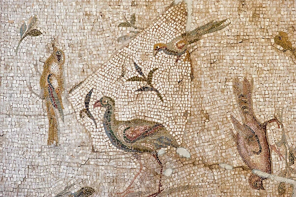 Mosaic of birds and flowers from Daphne (Harbiye), 2nd century AD, Hatay Archaeology Museum, Antioch, Hatay province, Southwest Turkey, Anatolia, Turkey, Asia Minor, Eurasia