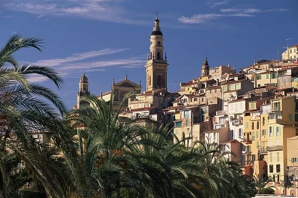 The Old Town, with palm trees in foreground, Menton, Alpes Maritimes, Cote d Azur