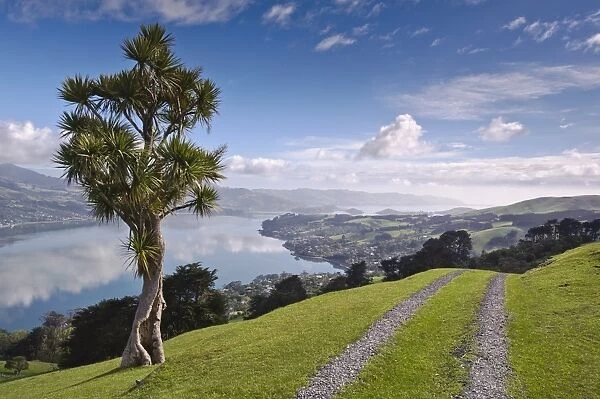 Otago Harbour, Otago Peninsula, Otago, South Island, New Zealand, Pacific
