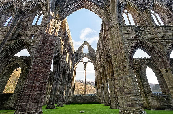 The ruins of Tintern Abbey, founded in 1131 by Cistercian monks, Monmouthshire, Wales, United Kingdom, Europe