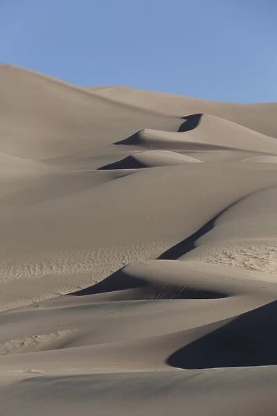 Sand dunes, Great Sand Dunes National Park and Preserve, Colorado, United States of America, North America