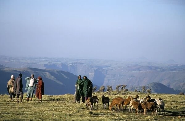 Shepherds at Geech Camp, Simien Mountains National Park, UNESCO World Heritage Site