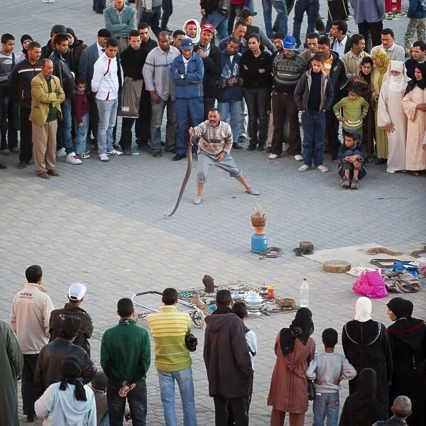 Snakes show, El Hedim Square, Meknes, Morocco, North Africa, Africa