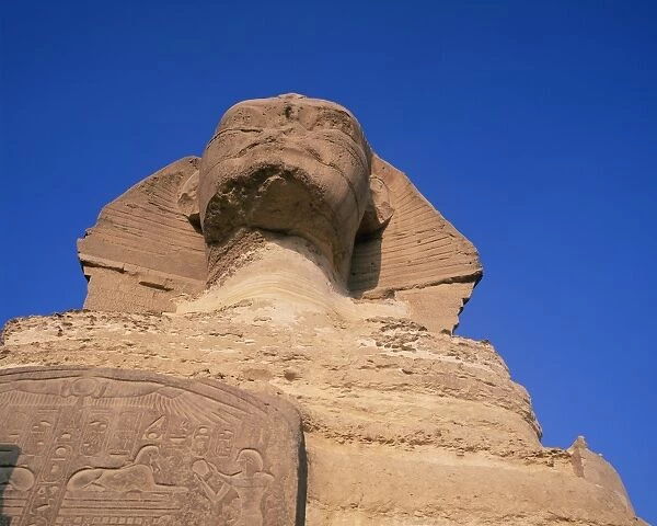 The Sphinx, Giza, UNESCO World Heritage Site, near Cairo, Egypt, North Africa, Africa