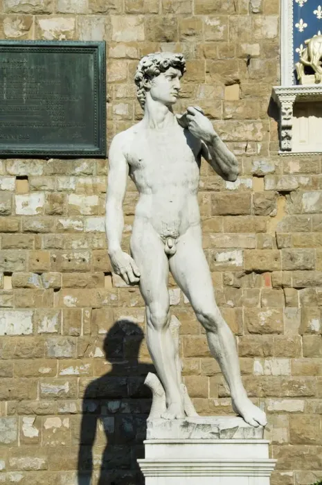 Framed Print : Statue of David Print, Piazza della Signoria, Florence Framed Print : Statue of David Print, Piazza della Signoria, Florence