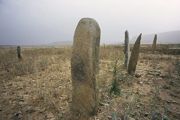 Stelae in ancient cemetery, Axoum (Axum) (Aksum), Tigre region, Ethiopia, Africa