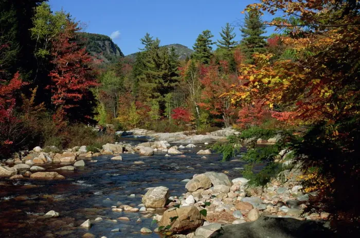 Framed Print : The Swift River in autumn print