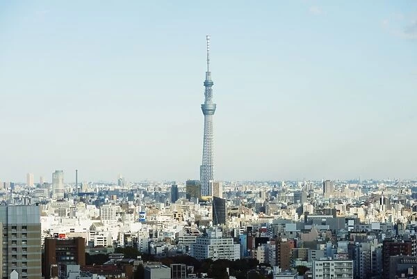 Tokyo Skytree, Asakusa, Tokyo, Honshu, Japan, Asia