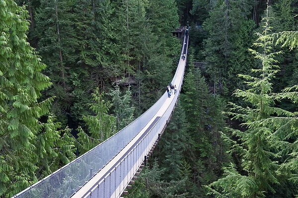 Tourists in Capilano Suspension Bridge and Park, Vancouver, British Columbia