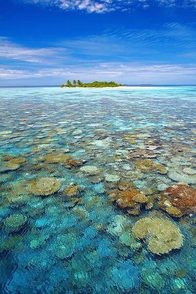 Tropical island surrounded by coral reef, The Maldives, Indian Ocean, Asia