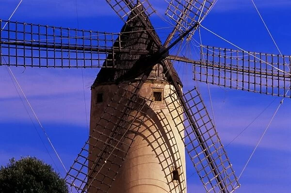 Typical windmill