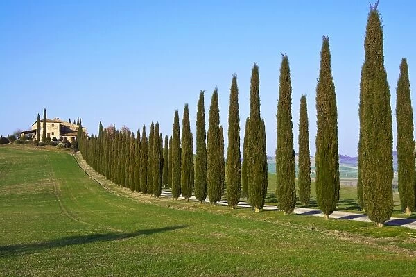 Val d Orcia, Siena Province, Siena, Tuscany, Italy, Europe