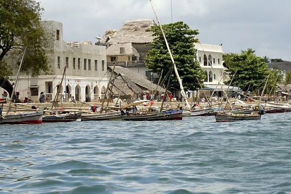 Vew from the sea of the harbour, Old Town, Lamu Island, UNESCO World Heritage Site