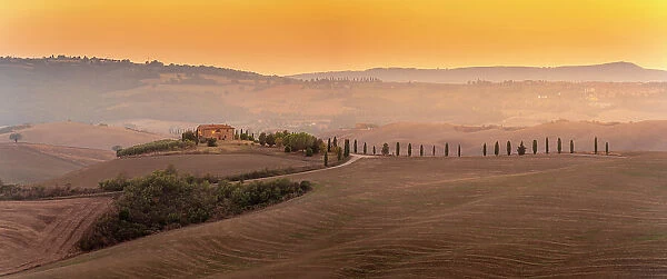 View of golden Tuscan landscape near Pienza, Pienza, Province of Siena, Tuscany, Italy, Europe