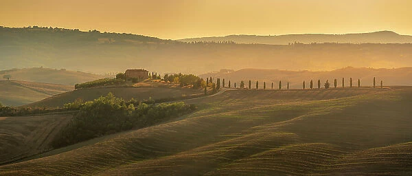 View of golden Tuscan landscape near Pienza, Pienza, Province of Siena, Tuscany, Italy, Europe