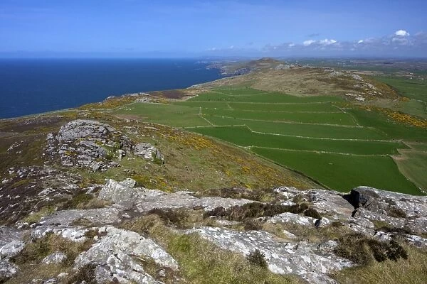 View north of old field system from Carn Llidi, St. Davids, Pembrokeshire National Park