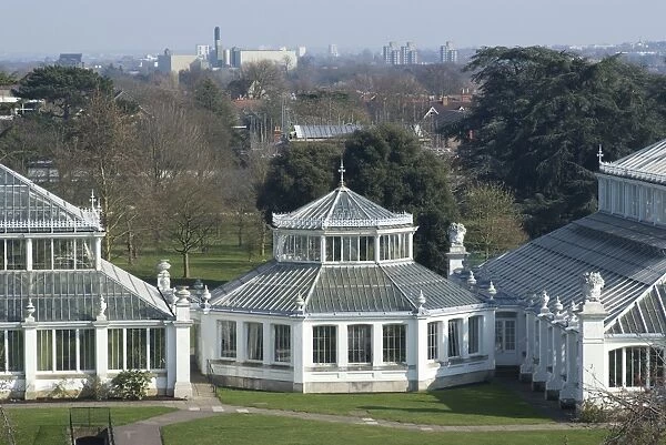 View of the Temperate House from the Tree Top Walk, Royal Botanic Gardens (Kew Gardens)