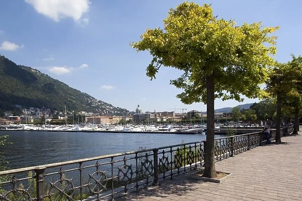View of town from lakeside, Como, Lake Como, Lombardy, Italian Lakes, Italy, Europe