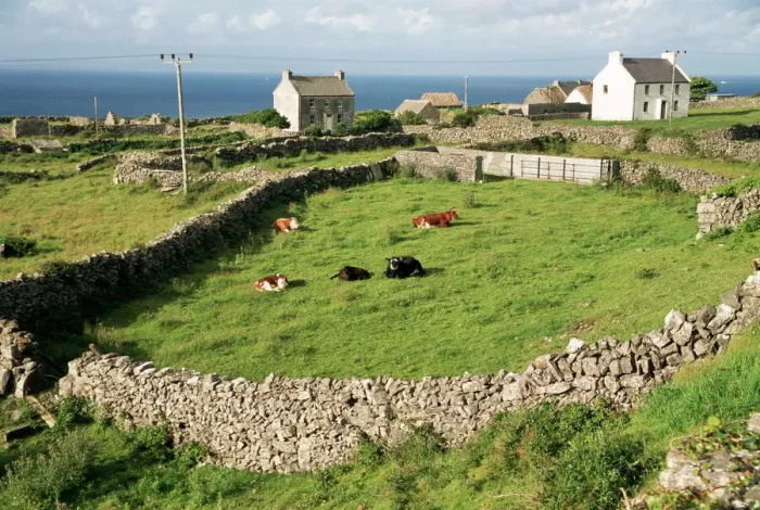 Framed Print : Walled Fields Print, Inishmore Landscape Framed Print : Walled Fields Print, Inishmore Landscape