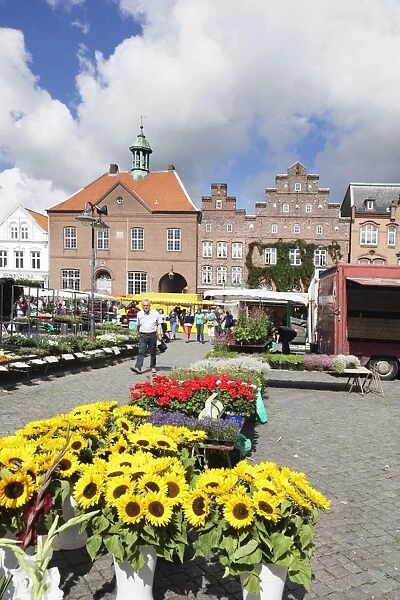 Weekly market at the market place of Husum, Schleswig Holstein, Germany, Europe