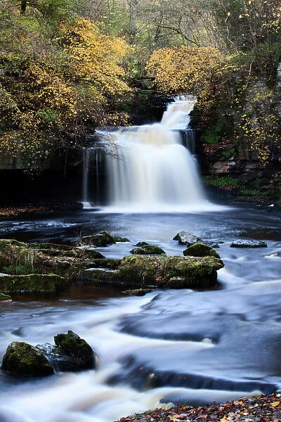 West Burton Waterfall in autumn, Wensleydale, North Yorkshire, England, United Kingdom, Europe