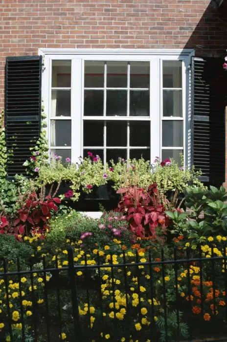 Framed Print : Beacon Hill Window and Garden Print Framed Print : Beacon Hill Window and Garden Print