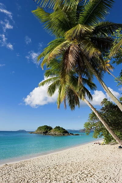 The world famous beach at Trunk Bay, St. John, U. S. Virgin Islands, West Indies