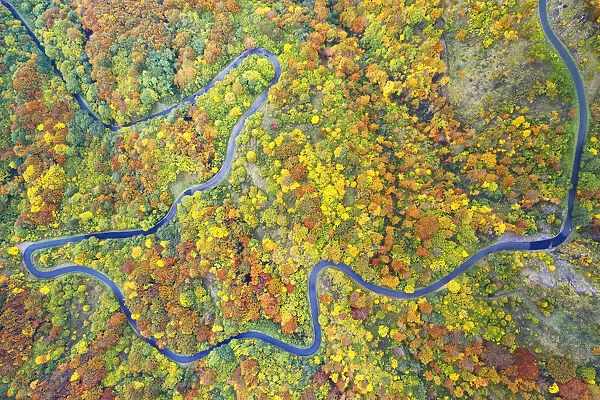 aerial view of the forest and road with autumn colors, tuscan-emilian apennine national