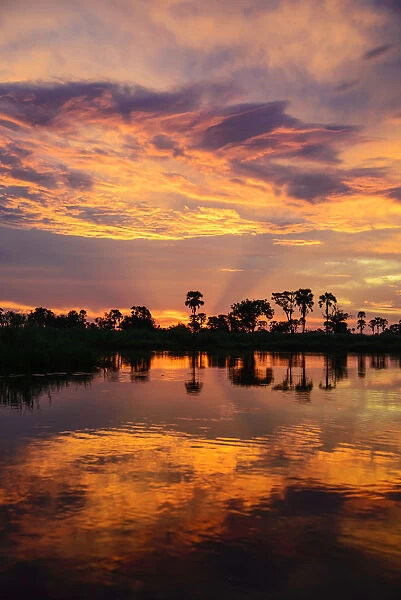Africa, Botswana, Okavango delta. Sunset at the delta