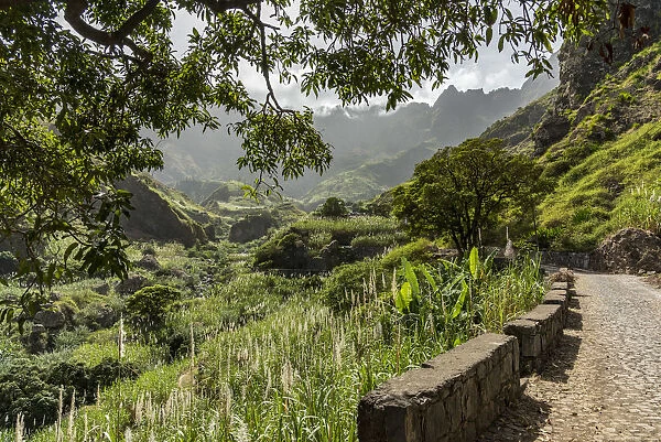 africa, Cape Verde, Santo Antao. An ancient road in the Paul Valley