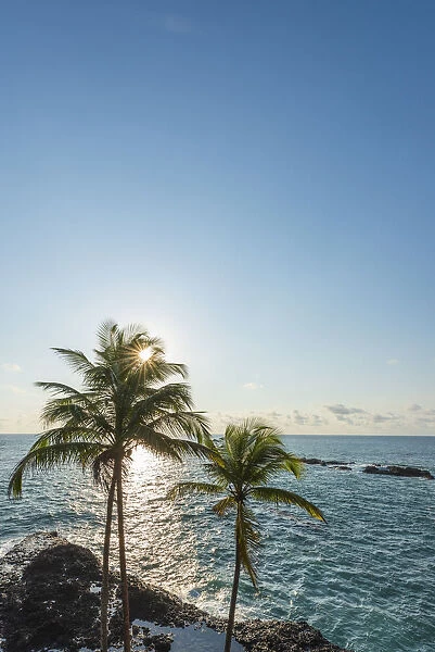 Africa, SA£o Toma and Principe. Seascape with palm trees near to Praia Jala on Sao