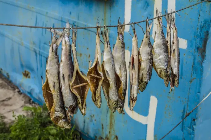 Framed Print : Armenia Print: Smoked Fish at Sevan Lake Shacks Framed Print : Armenia Print: Smoked Fish at Sevan Lake Shacks