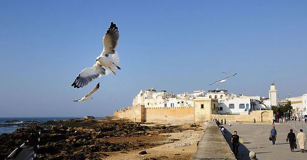The beautiful and windy city of Essaouira. Morocco