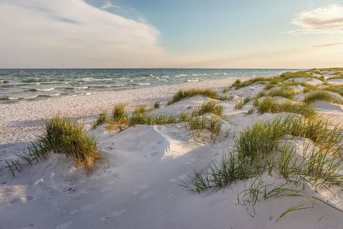 Framed Print : Dueodde Beach Dunes Print Framed Print : Dueodde Beach Dunes Print