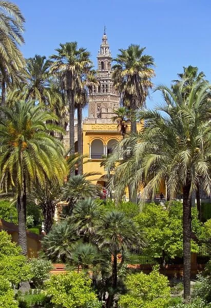 Giralda tower seen from Alcazar Gardens, Seville, Spain