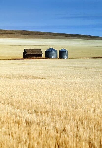 Grain Barn, Rosebud, Alberta, Canada
