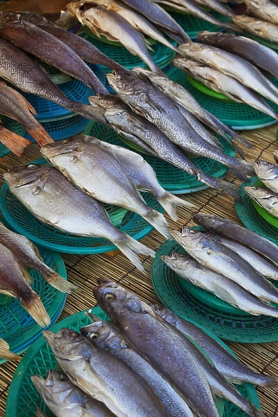 Korea, Gyeongsangnam-do, Busan, Jalgalchi fish market