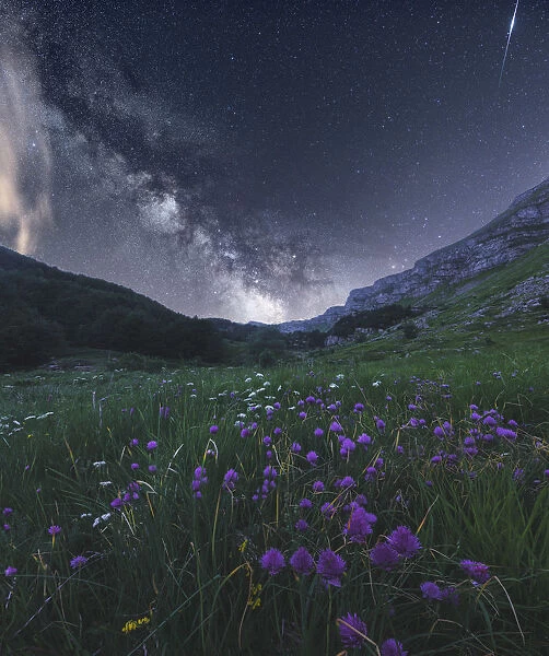 Milky way and wildflowers during late spring in the Appennines, Emilia Romagna, Italy