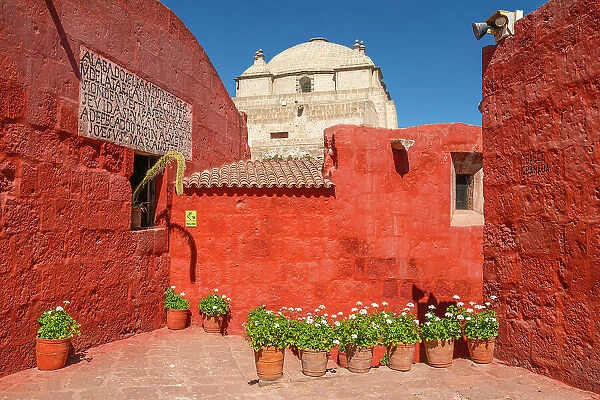 Plants by red walls at Monastery of Santa Catalina de Siena, UNESCO, Arequipa, Arequipa Province, Arequipa Region, Peru