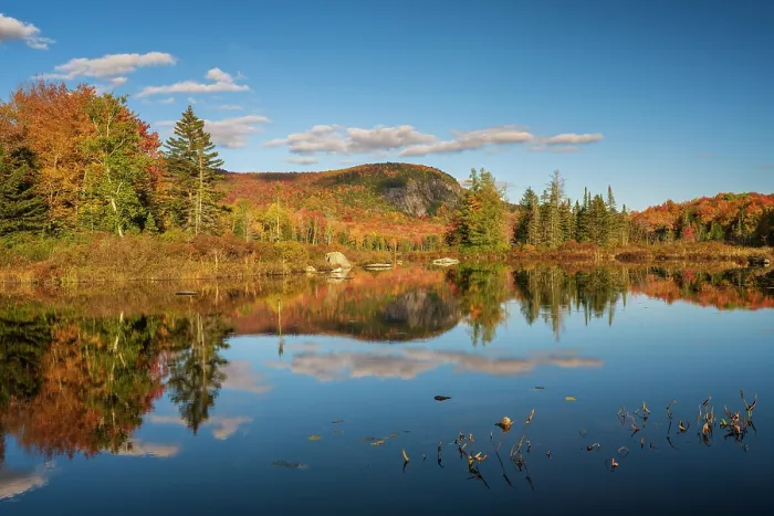 Framed Print : Turtlehead Pond Print, Green Mountains Reflection Framed Print : Turtlehead Pond Print, Green Mountains Reflection