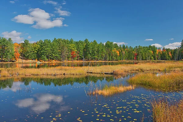 Reflection in lake in autumn Muskoka Country, Ontario, Canada